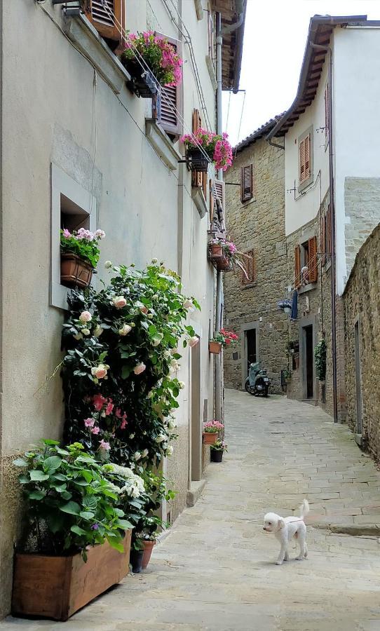 Casa Agata, Accogliente Appartamento Nel Centro Storico Cortone Extérieur photo